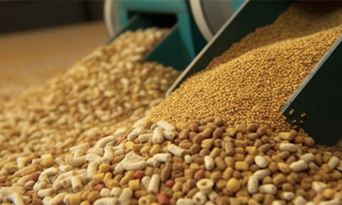 2024年豬飼料行業市場現狀、發展格局與原料銷售競爭趨勢展望